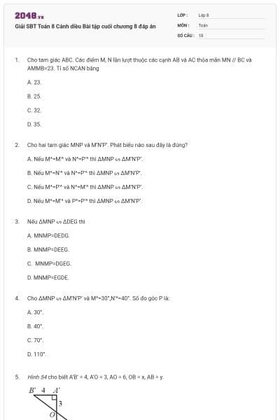 Giải SBT Toán 8 Cánh diều Bài tập cuối chương 8 đáp án