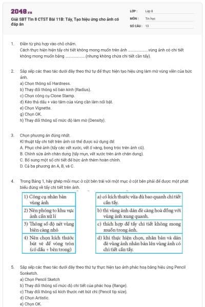 Giải SBT Tin 8 CTST Bài 11B: Tẩy, Tạo hiệu ứng cho ảnh có đáp án