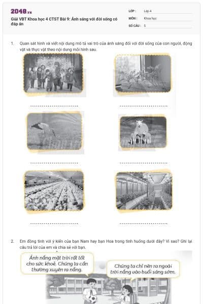 Giải VBT Khoa học 4 CTST Bài 9: Ánh sáng với đời sống có đáp án