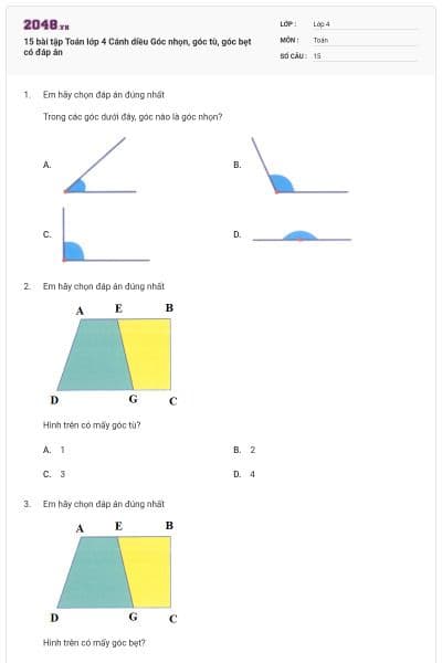 15 bài tập Toán lớp 4 Cánh diều Góc nhọn, góc tù, góc bẹt có đáp án