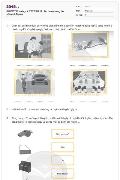 Giải VBT Khoa học 4 CTST Bài 11: Âm thanh trong đời sống có đáp án