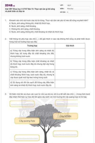 Giải VBT Khoa học 4 CTST Bài 15: Thực vật cần gì để sống và phát triển có đáp án