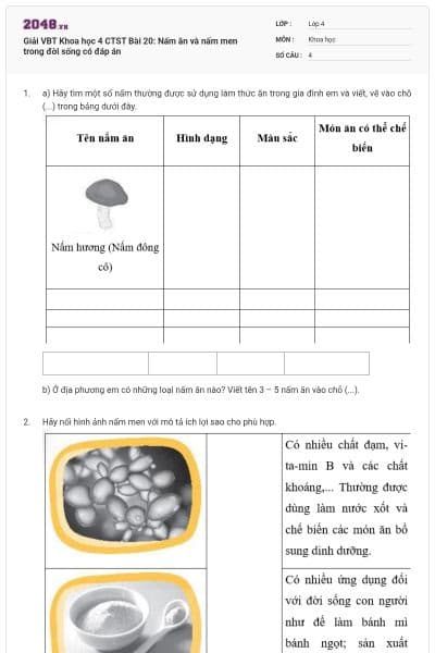 Giải VBT Khoa học 4 CTST  Bài 20: Nấm ăn và nấm men trong đời sống có đáp án