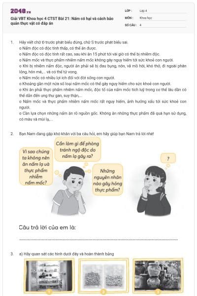 Giải VBT Khoa học 4 CTST Bài 21: Nấm có hại và cách bảo quản thực vật có đáp án