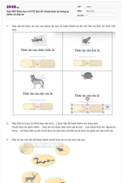 Giải VBT Khoa học 4 CTST Bài 30: Chuỗi thức ăn trong tự nhiên có đáp án