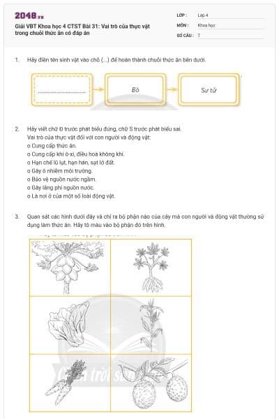 Giải VBT Khoa học 4 CTST Bài 31: Vai trò của thực vật trong chuỗi thức ăn có đáp án