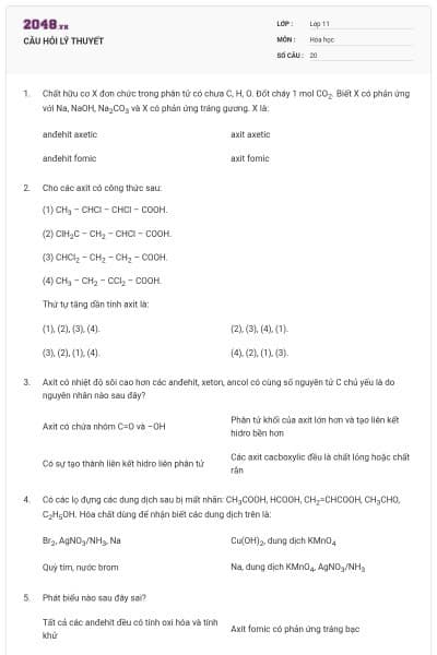 CÂU HỎI LÝ THUYẾT