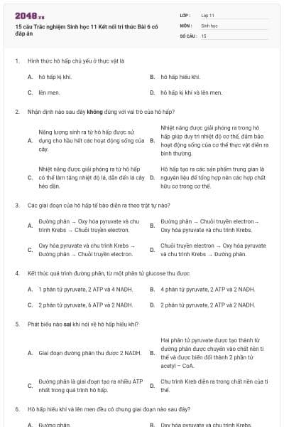 15 câu Trắc nghiệm Sinh học 11 Kết nối tri thức Bài 6 có đáp án