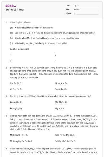BÀI TẬP LÝ THUYẾT
