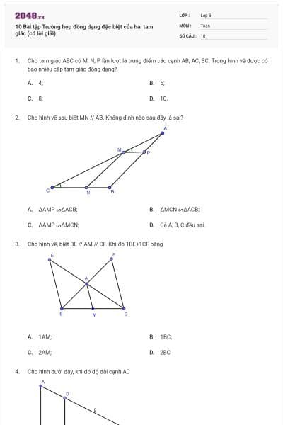 10 Bài tập Trường hợp đồng dạng đặc biệt của hai tam giác (có lời giải)