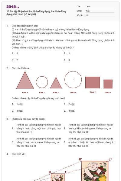 10 Bài tập Nhận biết hai hình đồng dạng, hai hình đồng dạng phối cảnh (có lời giải)