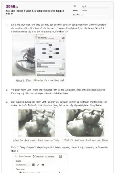 Giải SBT Tin học 8 Cánh diều Vùng chọn và ứng dụng có đáp án