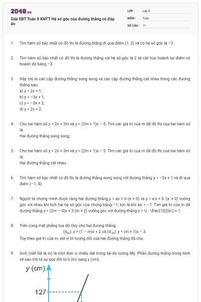 Giải SBT Toán 8 KNTT Hệ số góc của đường thẳng có đáp án