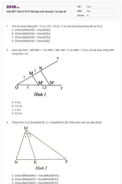 Giải SBT Toán 8 CTST Bài tập cuối chương 7 có đáp án