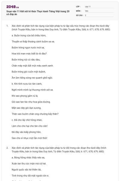 Soạn văn 11 Kết nối tri thức Thực hành Tiếng Việt trang 20 có đáp án