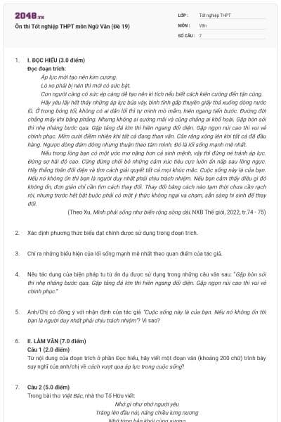 Ôn thi Tốt nghiệp THPT môn Ngữ Văn (Đề 19)