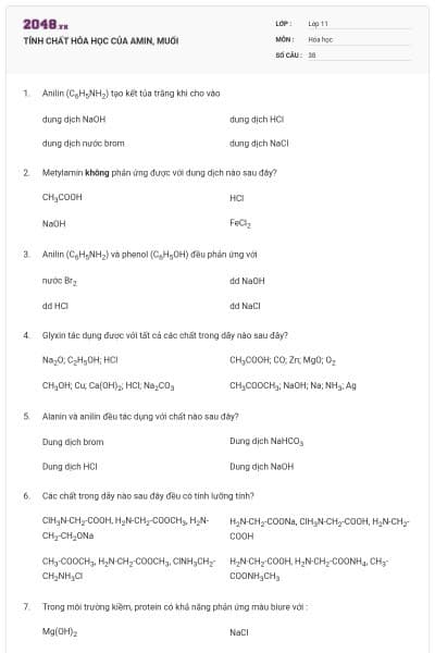 TÍNH CHẤT HÓA HỌC CỦA AMIN, MUỐI