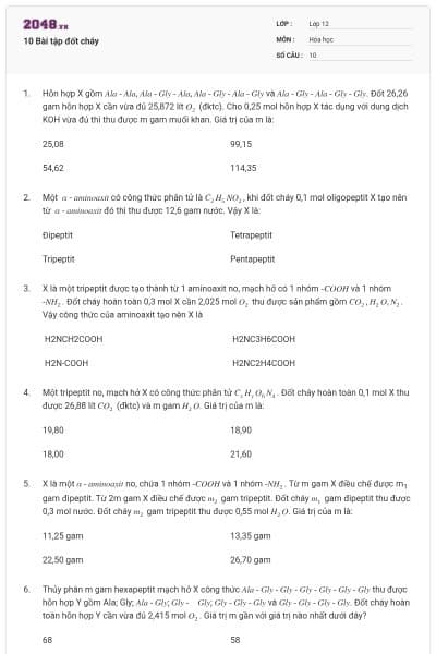 10 Bài tập đốt cháy