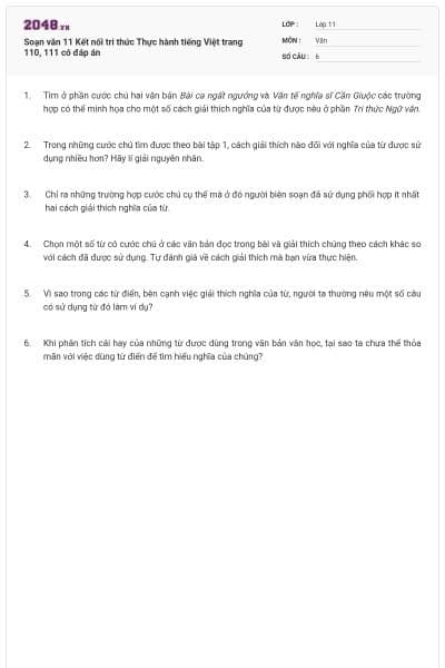 Soạn văn 11 Kết nối tri thức Thực hành tiếng Việt trang 110, 111 có đáp án