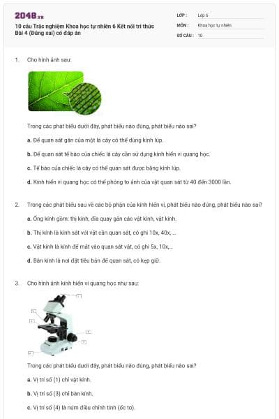 10 câu Trắc nghiệm Khoa học tự nhiên 6 Kết nối tri thức Bài 4 (Đúng sai) có đáp án
