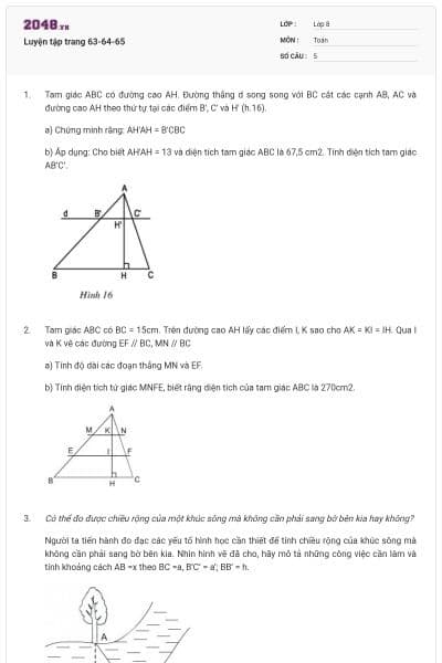 Luyện tập trang 63-64-65