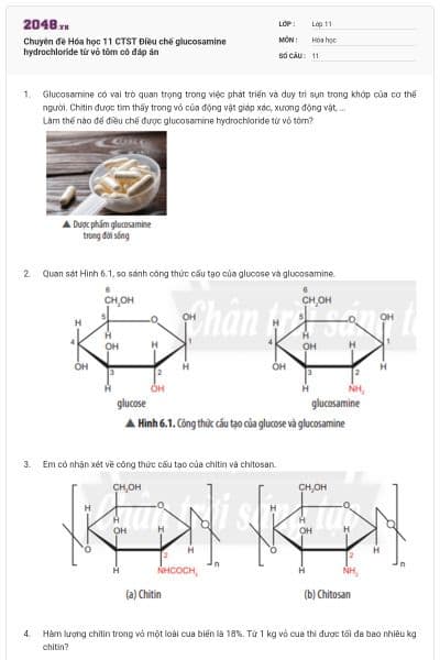 Chuyên đề Hóa học 11 CTST Điều chế glucosamine hydrochloride từ vỏ tôm có đáp án