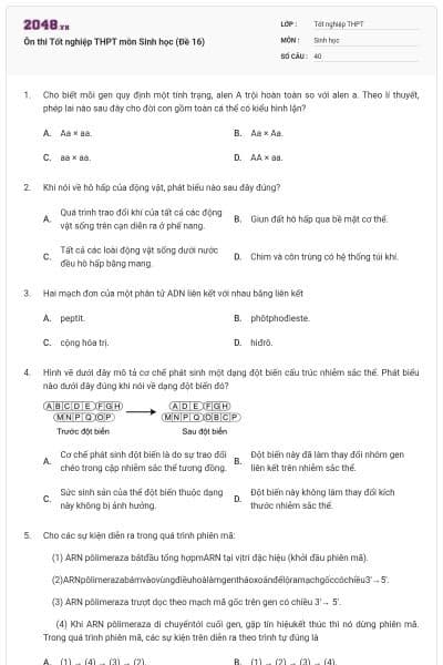 Ôn thi Tốt nghiệp THPT môn Sinh học (Đề 16)