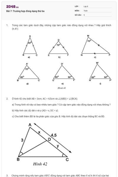 Bài 7: Trường hợp đồng dạng thứ ba