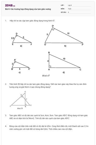 Bài 8: Các trường hợp đồng dạng của tam giác vuông