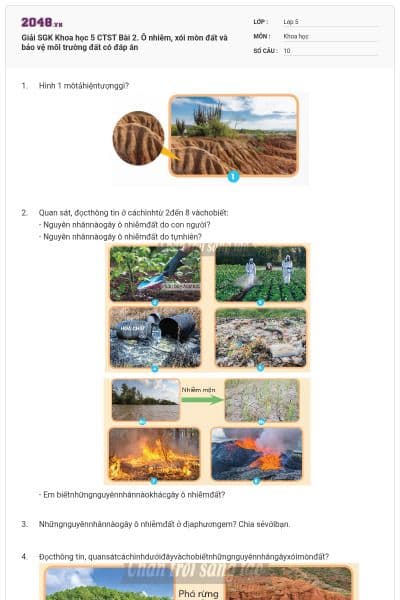 Giải SGK Khoa học 5 CTST Bài 2. Ô nhiễm, xói mòn đất và bảo vệ môi trường đất có đáp án