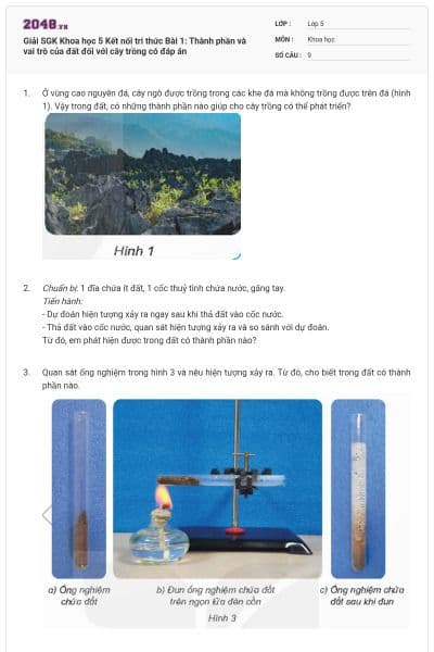 Giải SGK Khoa học 5 Kết nối tri thức Bài 1: Thành phần và vai trò của đất đối với cây trồng có đáp án