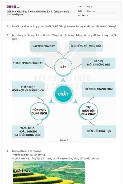 Giải SGK Khoa học 5 Kết nối tri thức Bài 6: Ôn tập chủ đề chất có đáp án