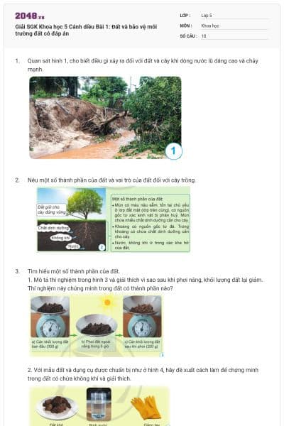 Giải SGK Khoa học 5 Cánh diều Bài 1: Đất và bảo vệ môi trường đất có đáp án