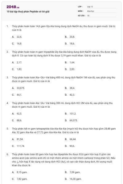 10 bài tập thuỷ phân Peptide có lời giải