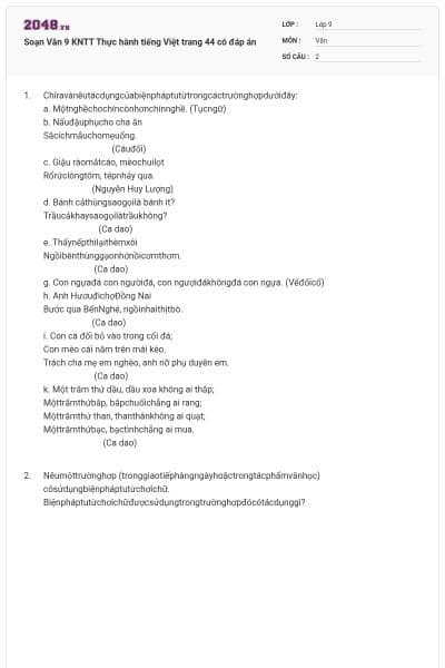 Soạn Văn 9 KNTT Thực hành tiếng Việt trang 44 có đáp án