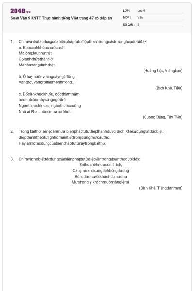 Soạn Văn 9 KNTT Thực hành tiếng Việt trang 47 có đáp án