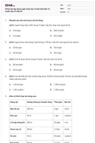 Phiếu bài tập hàng ngày Toán lớp 5 Cánh diều Bài 73. Luyện tập có đáp án