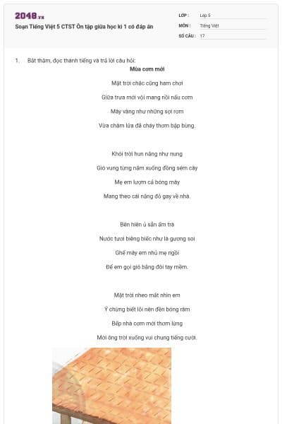 Soạn Tiếng Việt 5 CTST Ôn tập giữa học kì 1 có đáp án