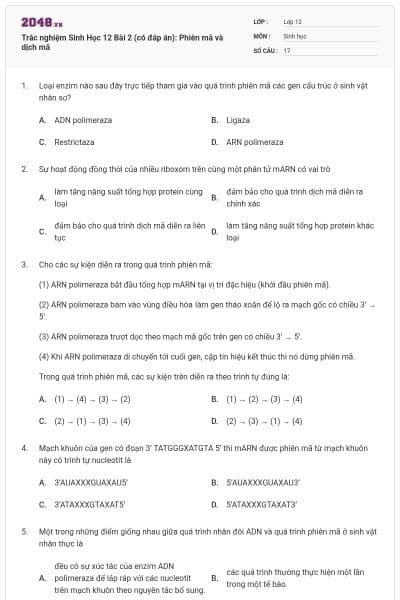 Trắc nghiệm Sinh Học 12 Bài 2 (có đáp án): Phiên mã và dịch mã