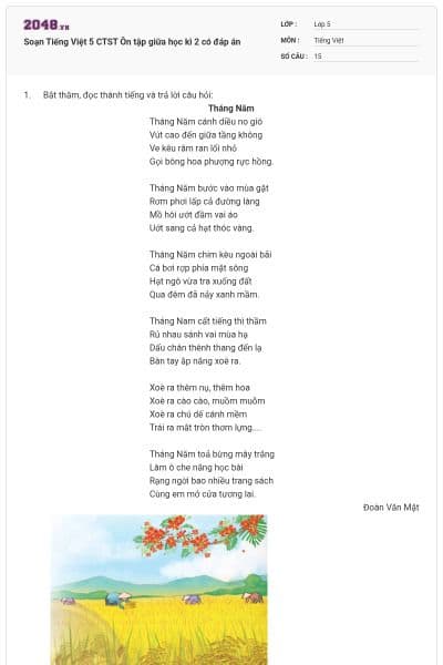 Soạn Tiếng Việt 5 CTST Ôn tập giữa học kì 2 có đáp án