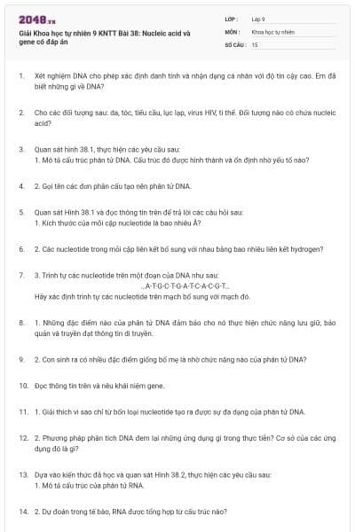 Giải Khoa học tự nhiên 9 KNTT Bài 38: Nucleic acid và gene có đáp án