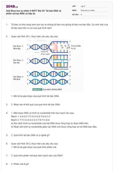 Giải Khoa học tự nhiên 9 KNTT Bài 39: Tái bản DNA và phiên mã tạo RNA có đáp án