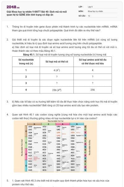 Giải Khoa học tự nhiên 9 KNTT Bài 40: Dịch mã và mối quan hệ từ GENE đến tính trạng có đáp án