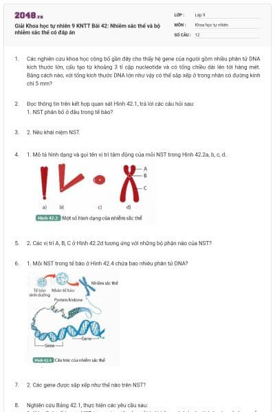 Giải Khoa học tự nhiên 9 KNTT Bài 42: Nhiễm sắc thể và bộ nhiễm sắc thể có đáp án