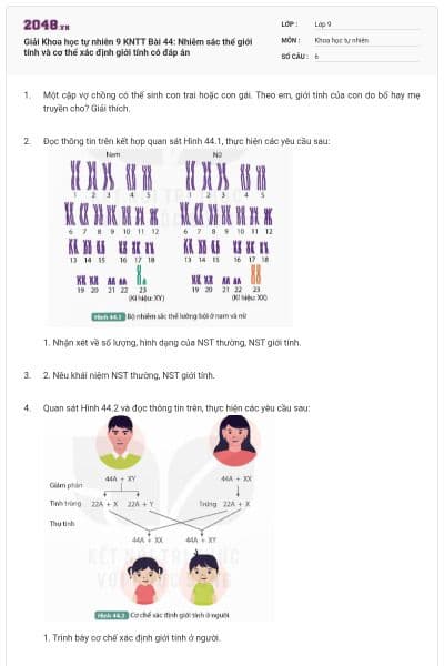 Giải Khoa học tự nhiên 9 KNTT Bài 44: Nhiễm sắc thể giới tính và cơ thể xác định giới tính có đáp án