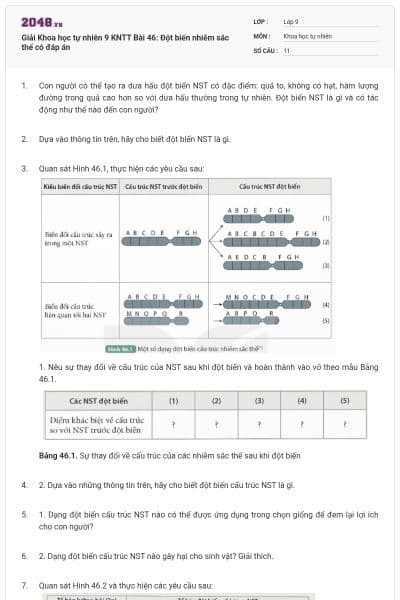 Giải Khoa học tự nhiên 9 KNTT Bài 46: Đột biến nhiễm sắc thể có đáp án