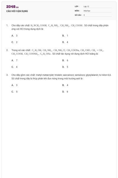 CÂU HỎI VẬN DỤNG