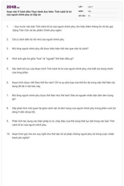 Soạn văn 9 Cánh diều Thực hành đọc hiểu: Tình cảnh lẻ loi của người chinh phụ có đáp án