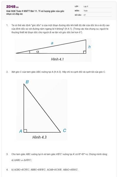 Giải SGK Toán 9 KNTT Bài 11. Tỉ số lượng giác của góc nhọn có đáp án