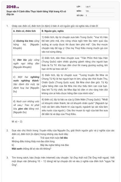 Soạn văn 9 Cánh diều Thực hành tiếng Việt trang 43 có đáp án